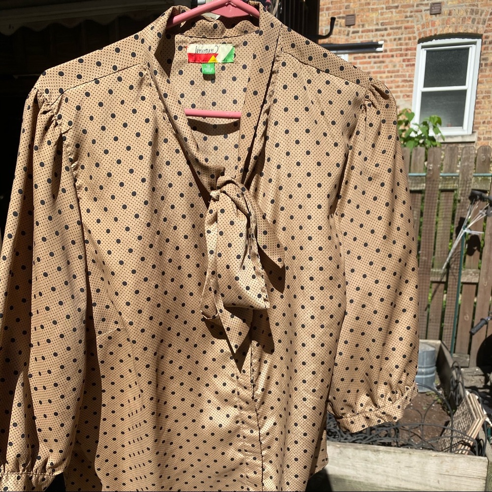 Fervour Brown Polka Dot Blouse